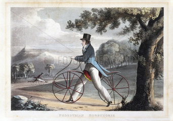 'Pedestrian Hobbyhorse'  1819.