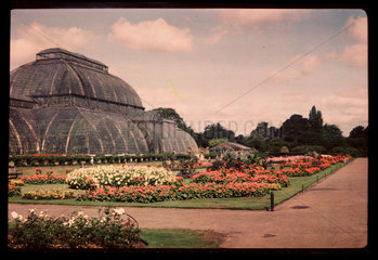 The Palm House  Kew Gardens  c 1945.
