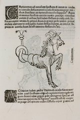 The constellation of Capricornus  1488.