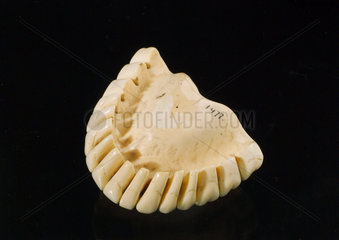 Ivory upper denture  18th century.