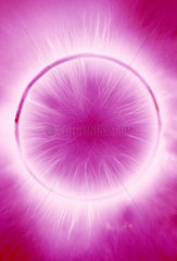 Kirlian photograph of a white gold ring (set with 5 diamonds)  9 June 2005.