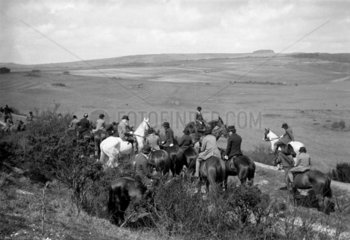 Mounted fox-hunters taking a breather from