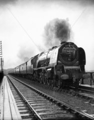 'Duchess of Montrose' steam locomotive.
