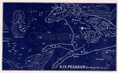 The constellation of Pegasus (the Winged Horse)  1895.
