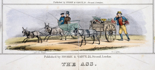 'The Ass'  c 1845.