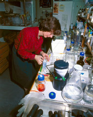 Haematology laboratory  1981.