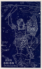 The constellation of Orion (the Glorious One)  1895.