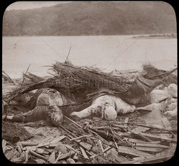 Devastation following an earthquake  Japan  1876.