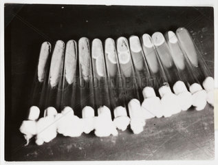 Test tubes of penicillin  1943.