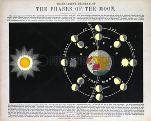'The Phases of the Moon'  c 1860.