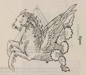 The constellation of Equus  1488.