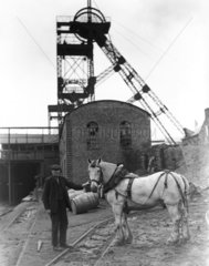 A Welsh miner and a pit-pony  'Pivot'  stan