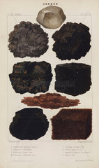 Forms of carbon  1869.