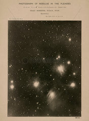 Pleiades star cluster with nebulosity (M45)  1888.
