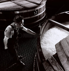 A distillery worker inspects an infermentation vat for malt whiskey 1964.