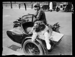 Arriving in style for a dog show  1934.