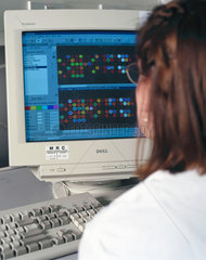 A scientist analysing DNA microarrays.