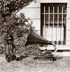 Gramophone and dog  1890-1910.