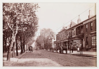 'Cheltenham  The Promenade Drive  Looking Down'  c 1880.