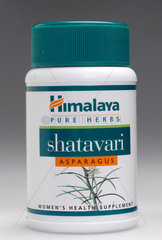 Container of Shatavari  2004.