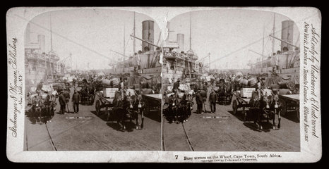 'Busy scenes on the Wharf  Cape Town  South Africa’  1900.