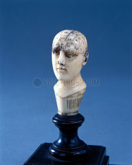 Ivory phrenological head with wooden circular pedestal  1850-1914.
