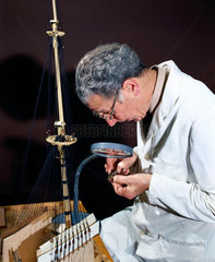 Building a model of the 'Wasa' (1628)  1981.
