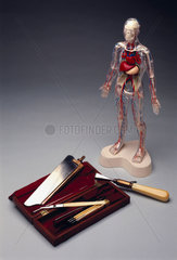 Post mortem surgical instrument set  1783-1844  and ‘Visible Man’  1993.