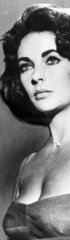 Elizabeth Taylor  19 September 1960.