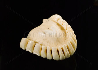 Ivory upper denture  18th century.