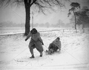 Man pulling a boy on sled on Wimbledon Common  London  19 December 1938.