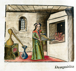 An alchemist at work  1535.