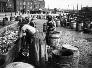 Female fish-gutters on the quayside  Whitby  North Yorkshire  c 1900s.