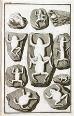 Fake fossils of frogs  1745.