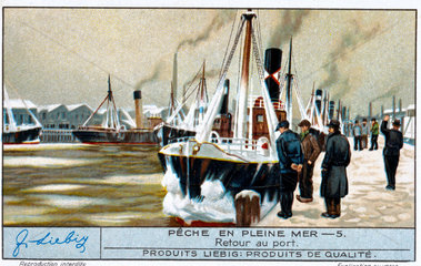 Return to port  Liebig trade card  early 20th century.
