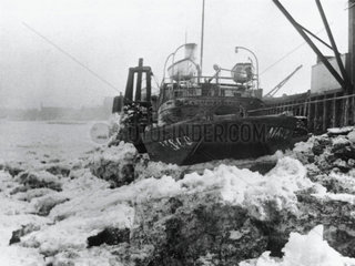 The freezing over of the River Thames  London  1895.