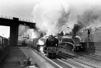 'Aberdonian'  steam locomotive  King's Cross Station  London  1958.