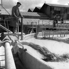 A plant worker watches a vat of pulp paper being filled  Blackburn  1959.