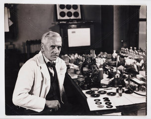 Professor Fleming  Scottish bacteriologist  in his laboratory  1943.