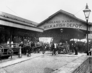 Midland Railway's Milk & Fish Depot  Sommerstown  London  c 1894.