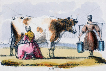 'Milk'  c 1845.