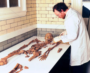 Skeleton of Bleadon Man  1999.