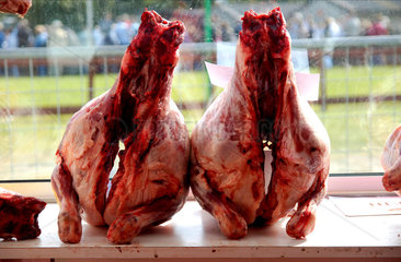 Beef  Great Yorkshire Show  Harrogate  July 2007.