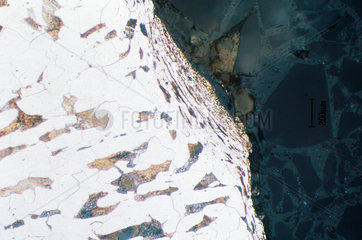 Steel after milling. Light micrograph in br