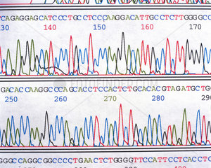 A sequencing chromatograph showing a DNA sequence.