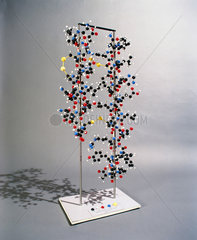 Molecular structure model of insulin  c 1965.