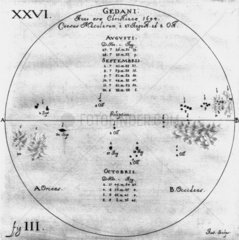 Drawings of sunspots  27 August - 8 October 1644.