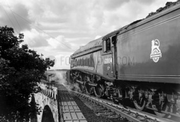 'William Whitelaw' steam locomotive  Berwick Station  1952.