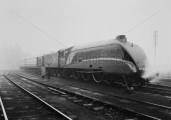LNER class A4 N.4497 ‘Golden Plover’.