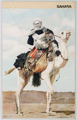 ‘Sahara’; Tuareg man riding a camel  1967.